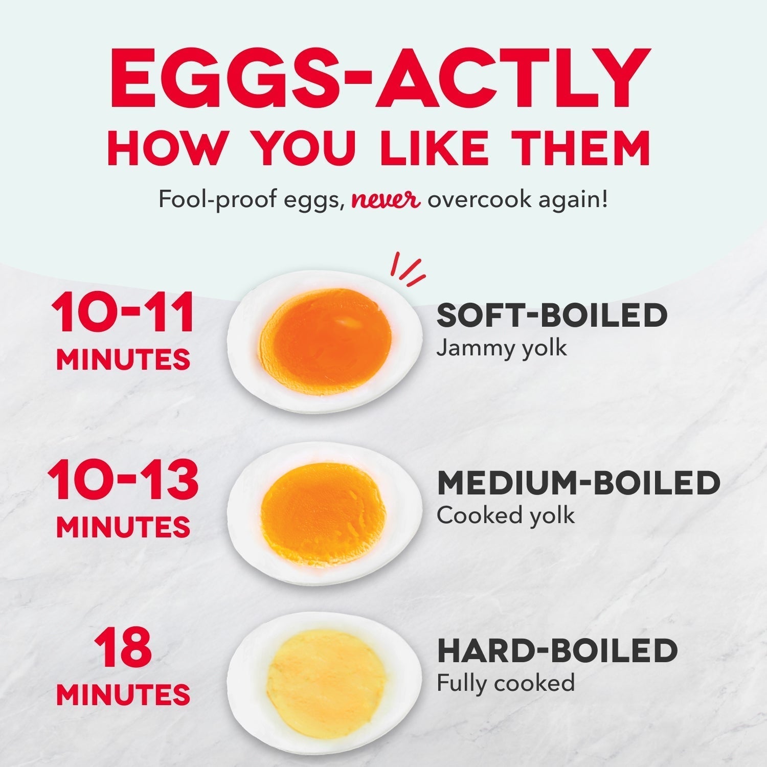 16pc Egg Cooker J4