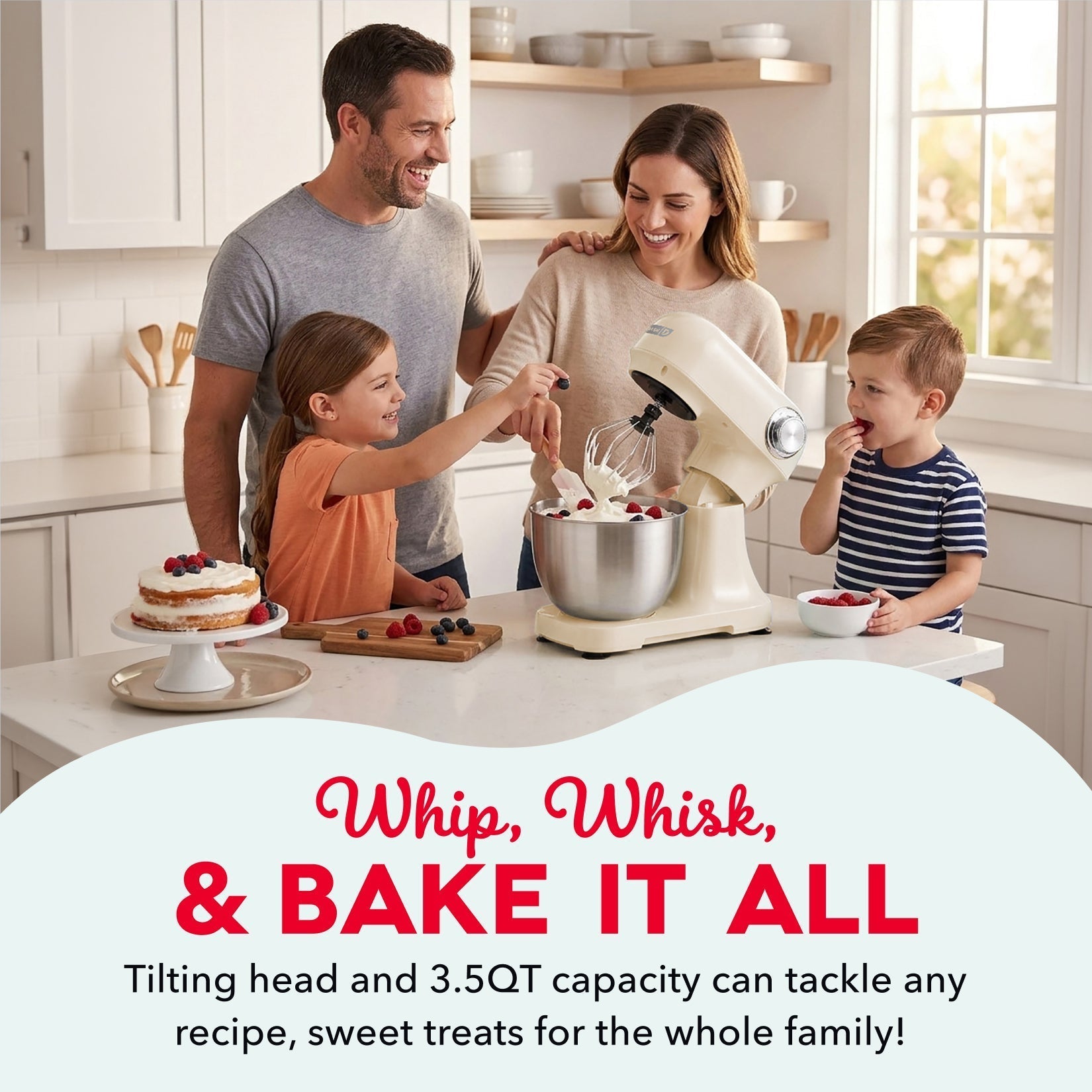 3.5 Qt Tilt Head Stand Mixer B0