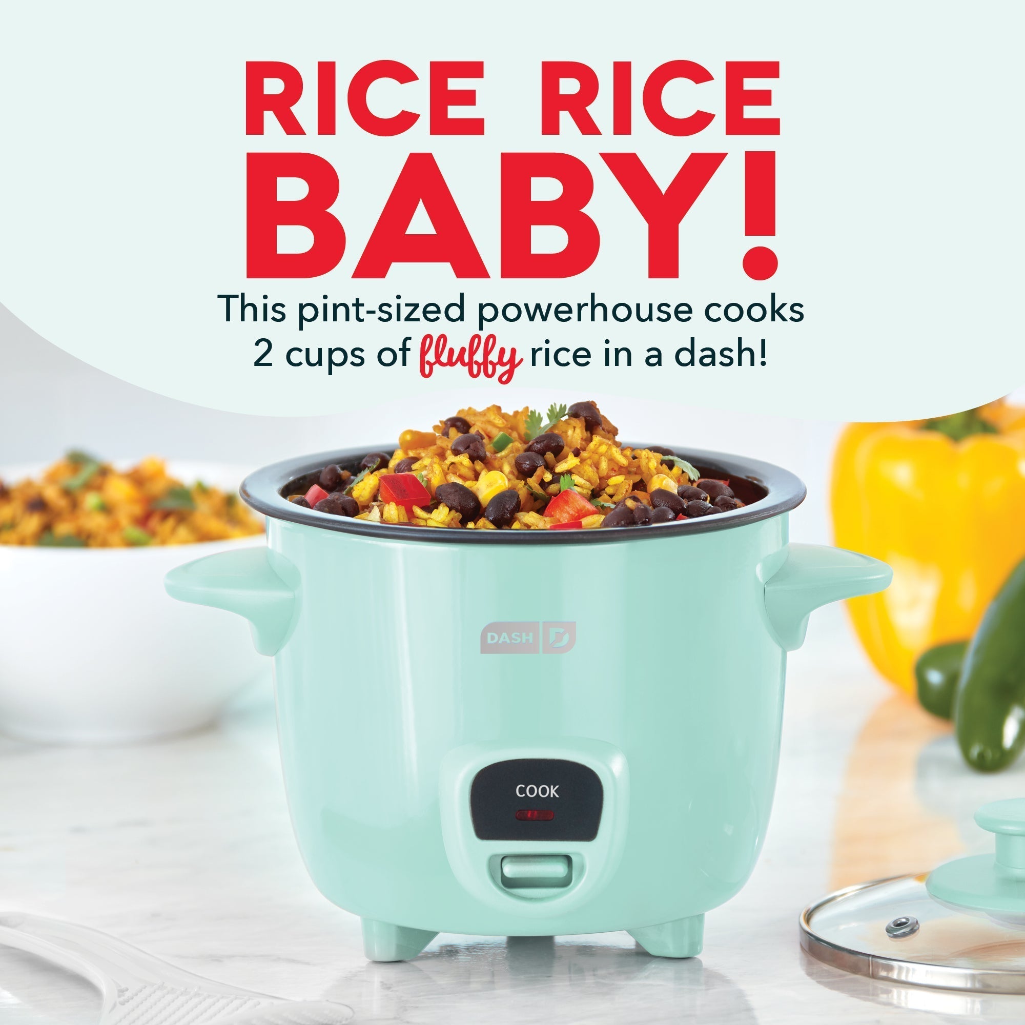 Compact Rice Cooker Y5