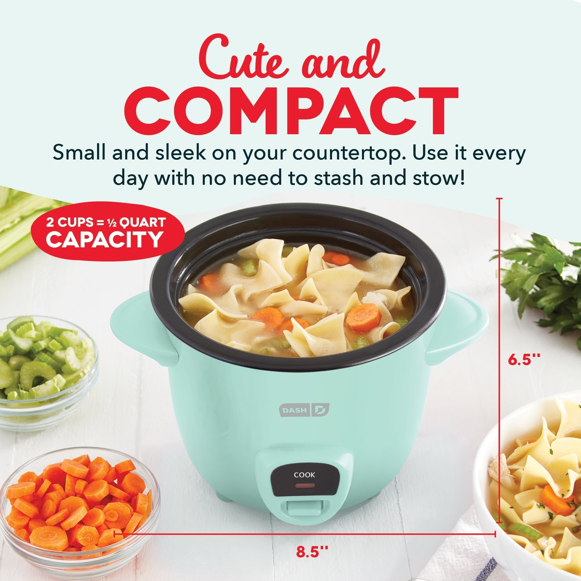 Compact Rice Cooker Y5