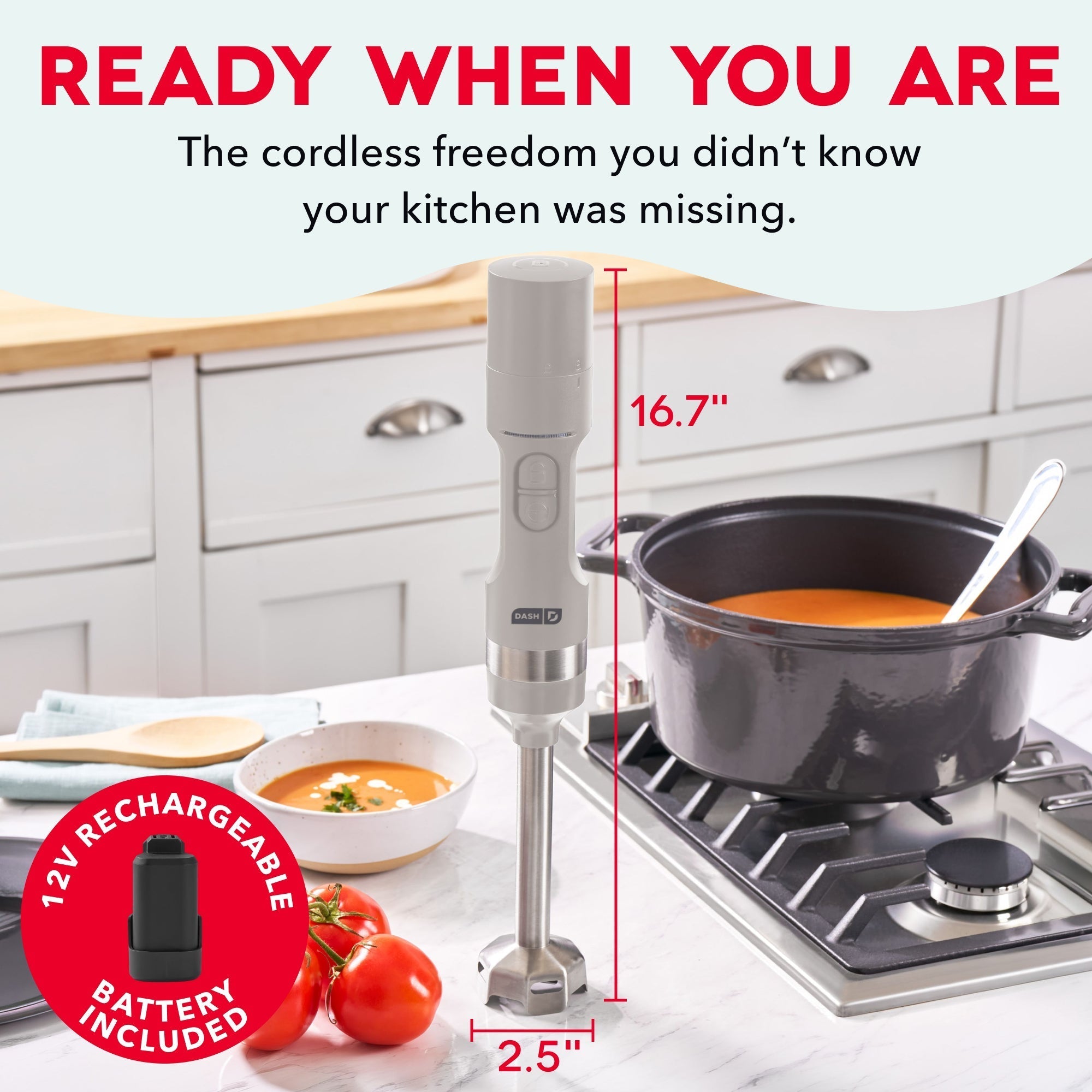 Cordless Immersion Blender T5