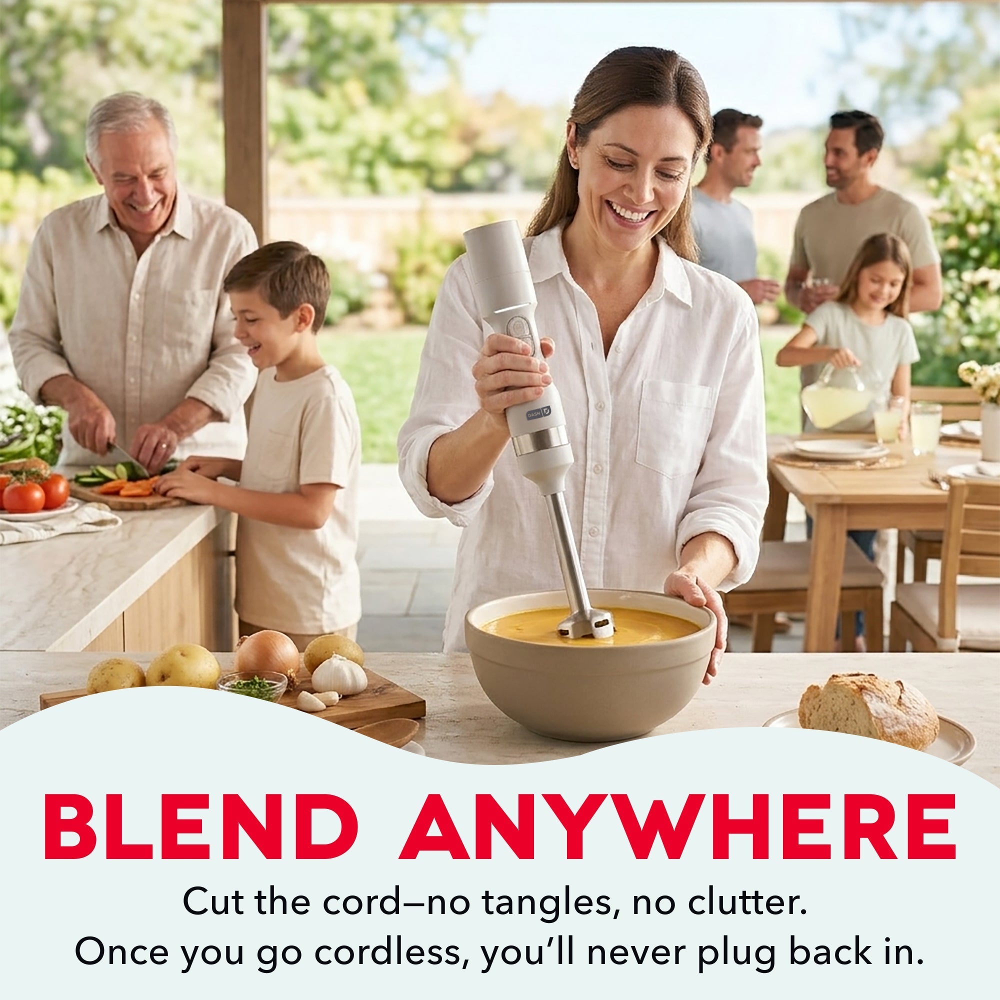 Cordless Immersion Blender T5