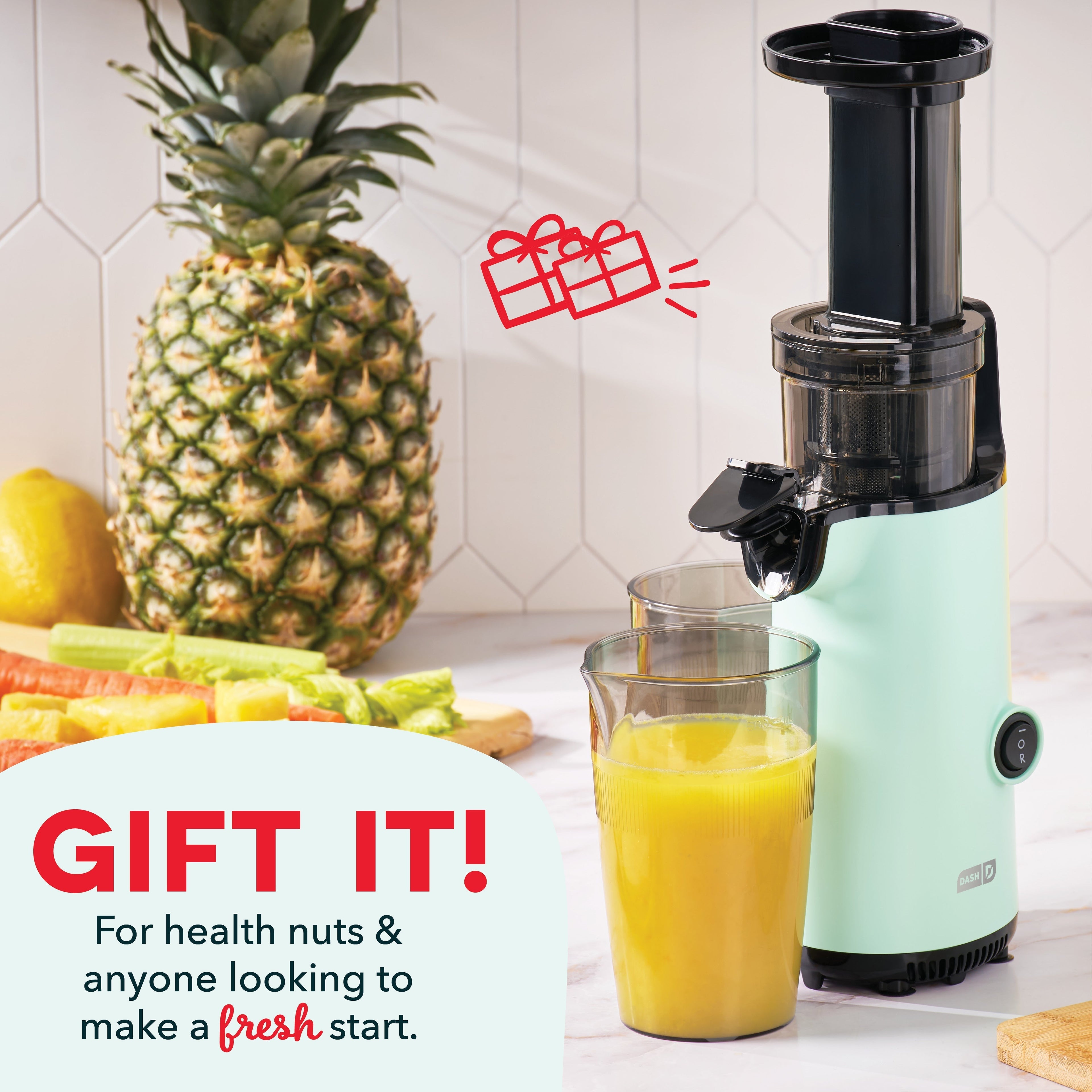 Compact Cold Press Power Juicer A3