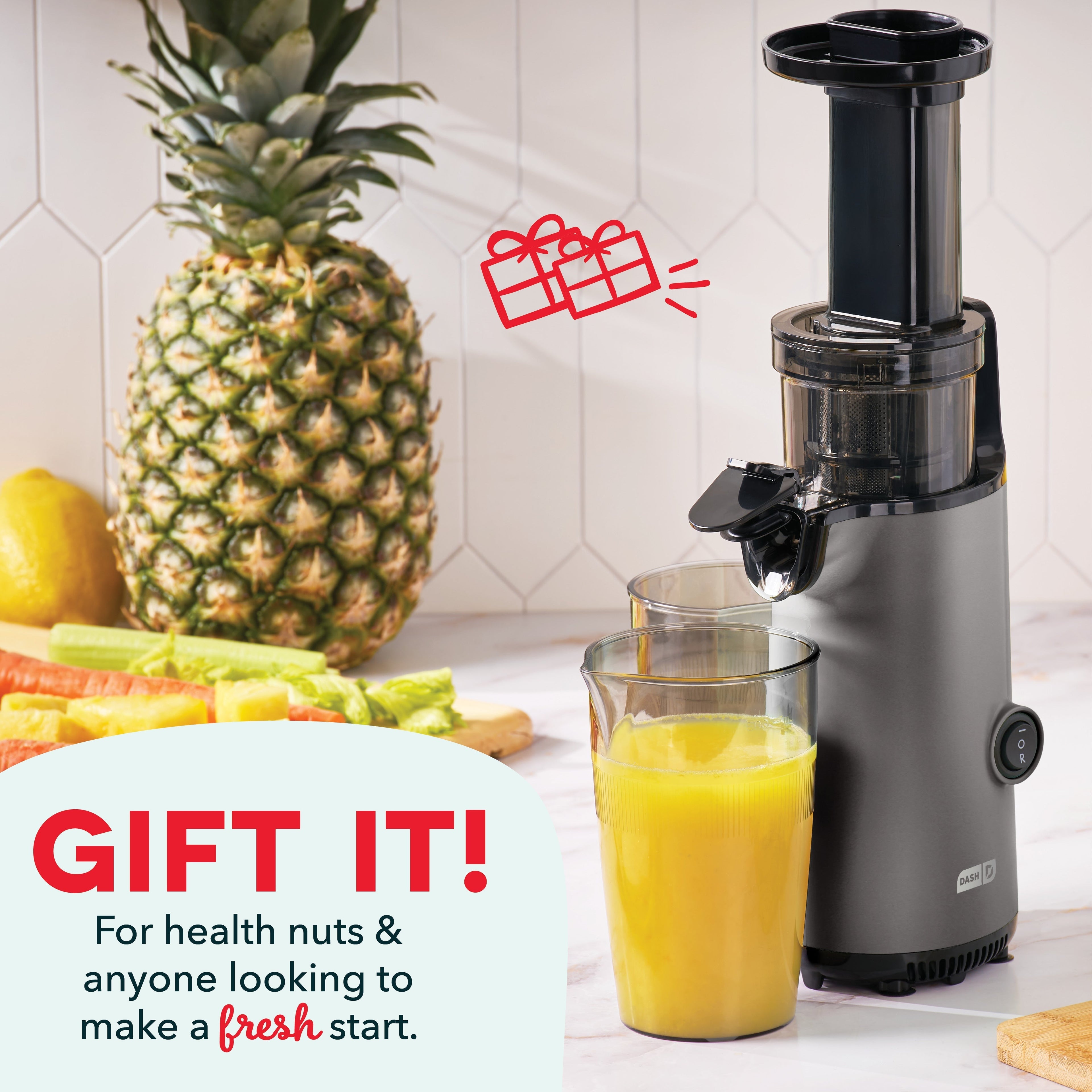 Compact Cold Press Power Juicer A3