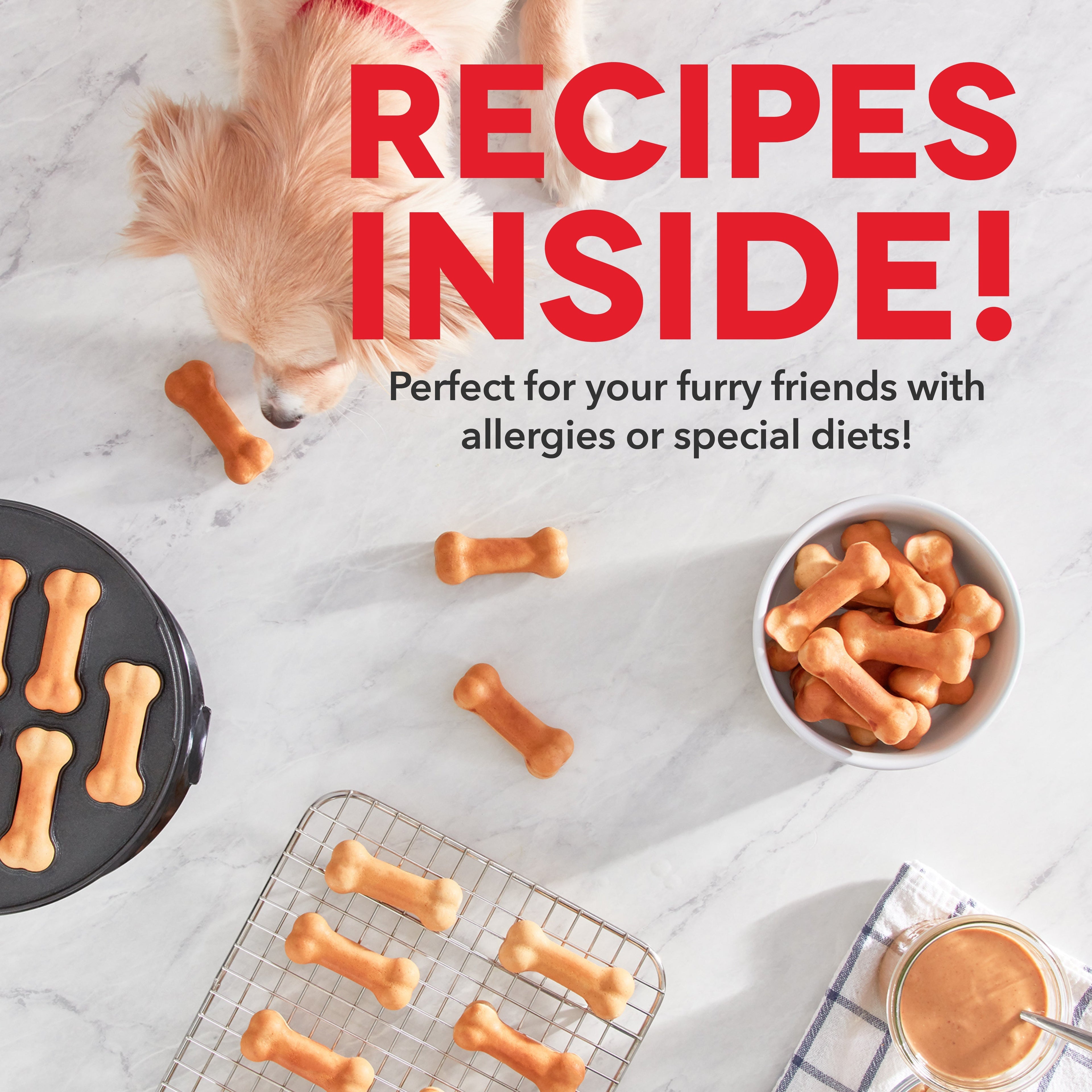Express Dog Treat Maker L9
