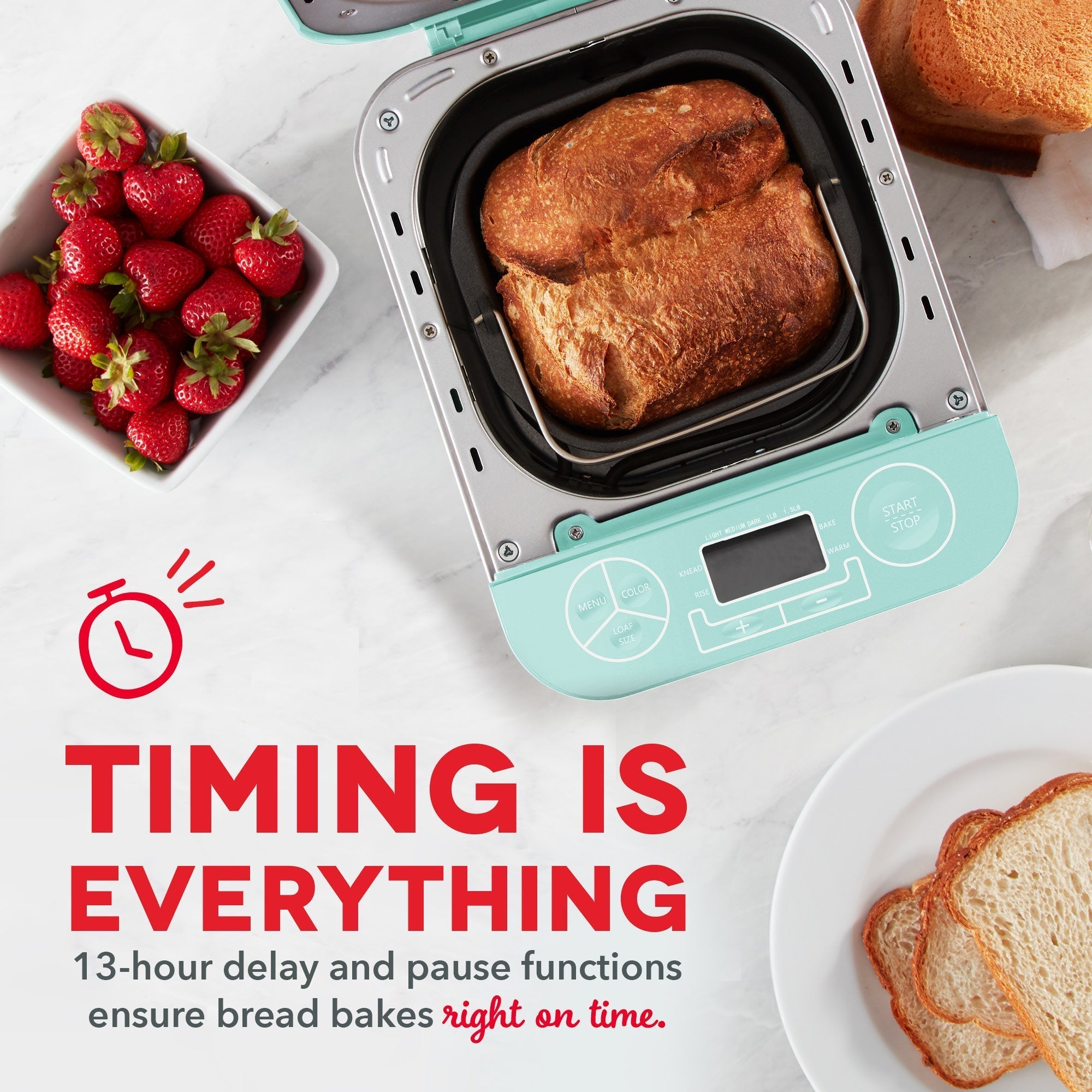 Everyday 1.5 LB Bread Maker C0