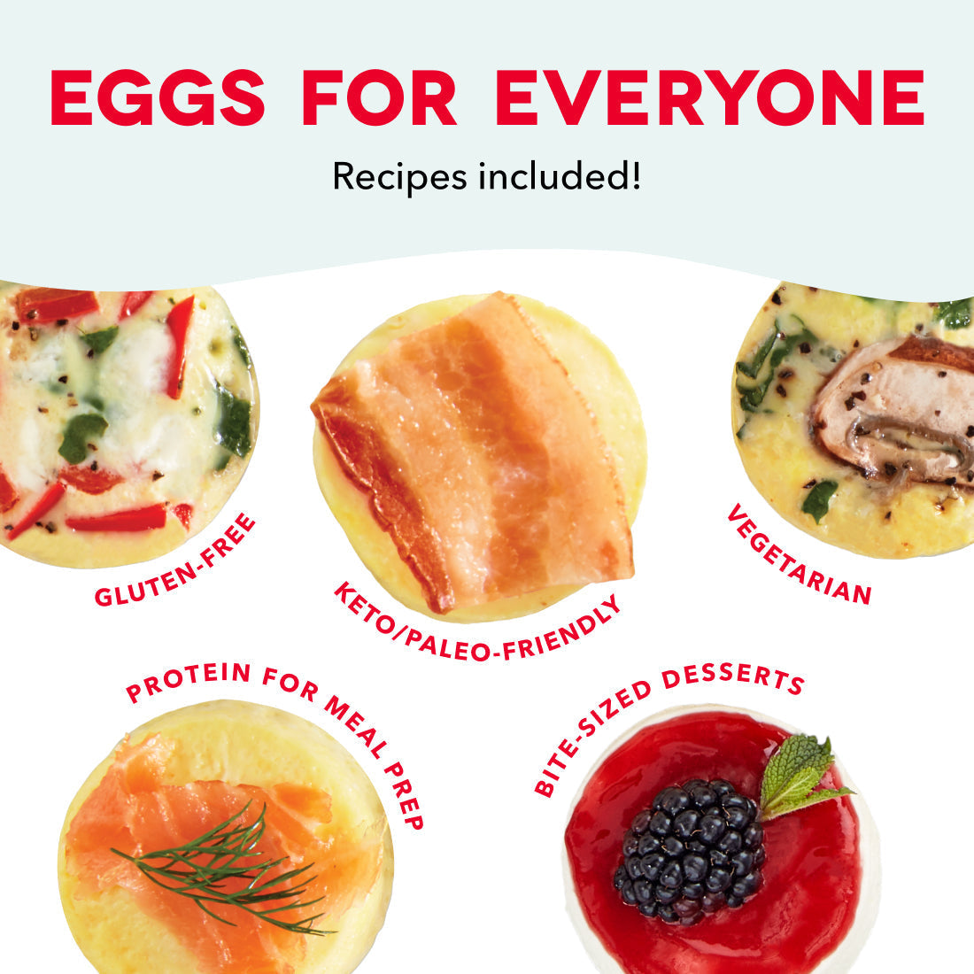 Family Size Egg Bite Maker D1