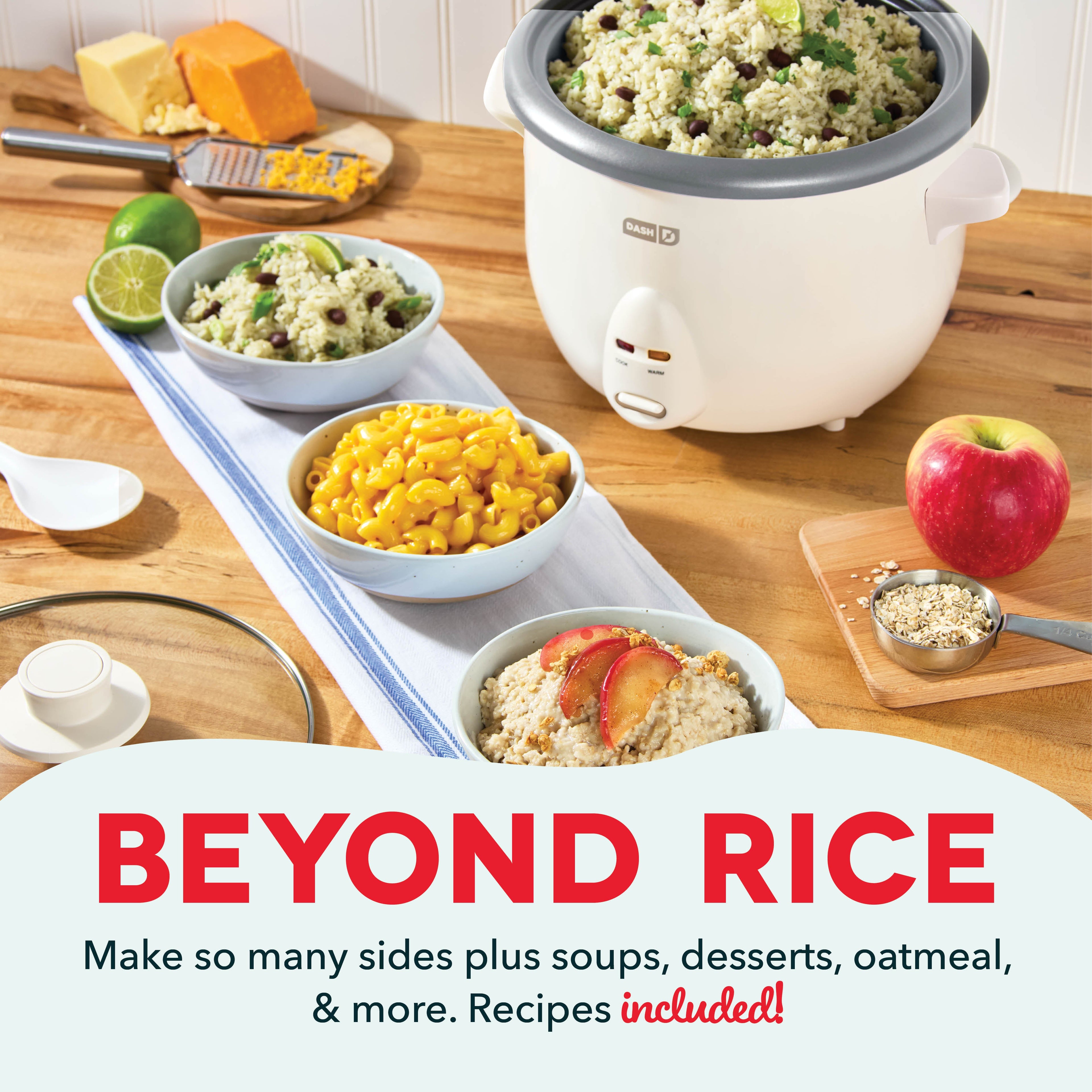 Family Sized Rice Cooker Y4