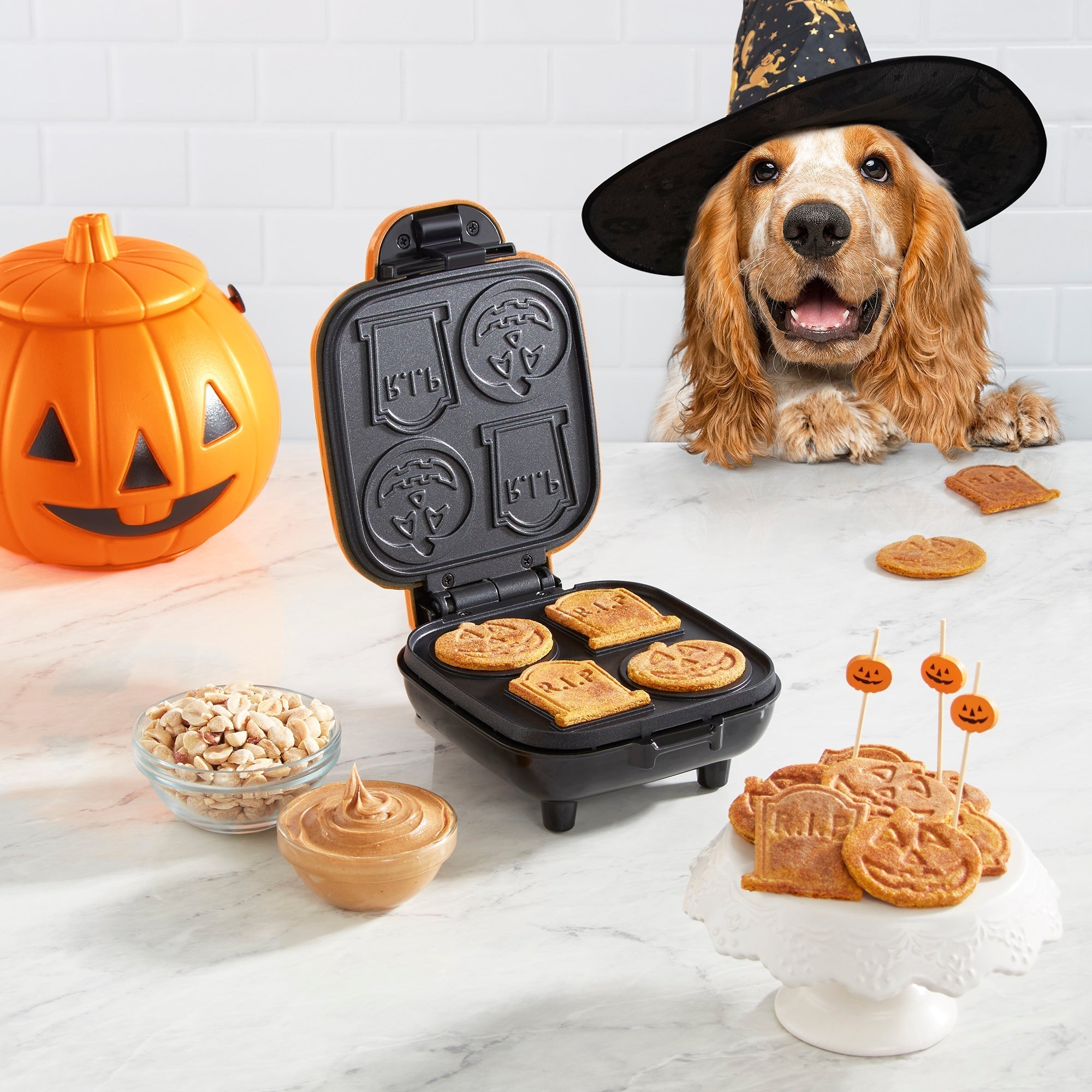 Halloween Mini Dog Treat Maker H8