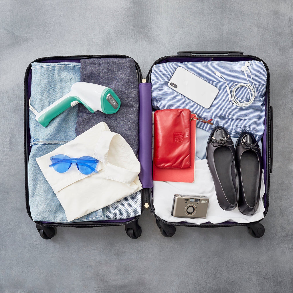 Handheld Steamer I4