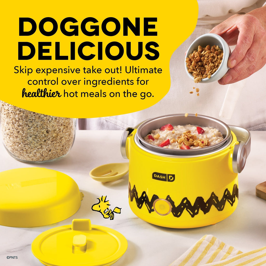 Hot2Go Electric Lunchbox (20 Ounce) A0