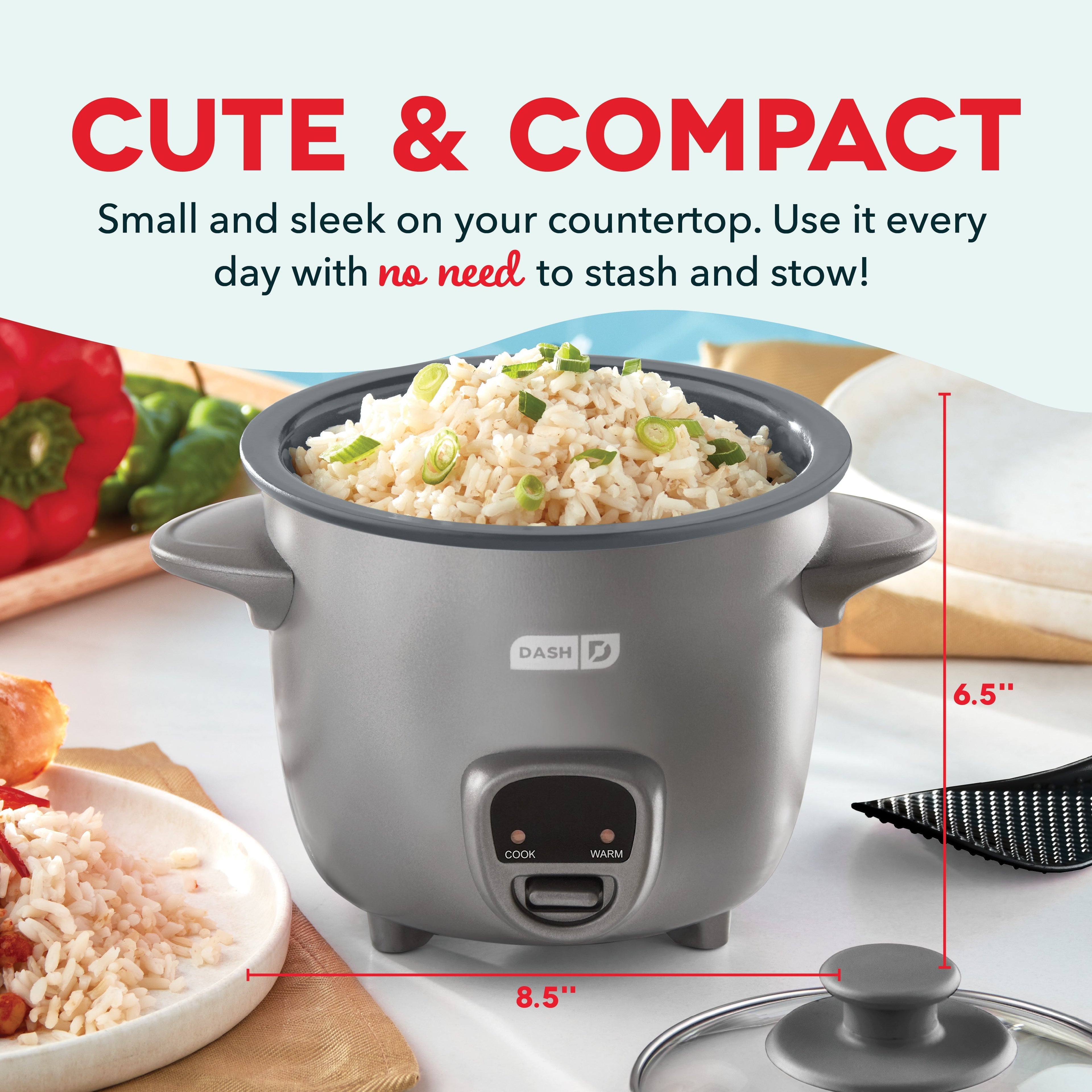 Mini Rice Cooker with Keep Warm W2