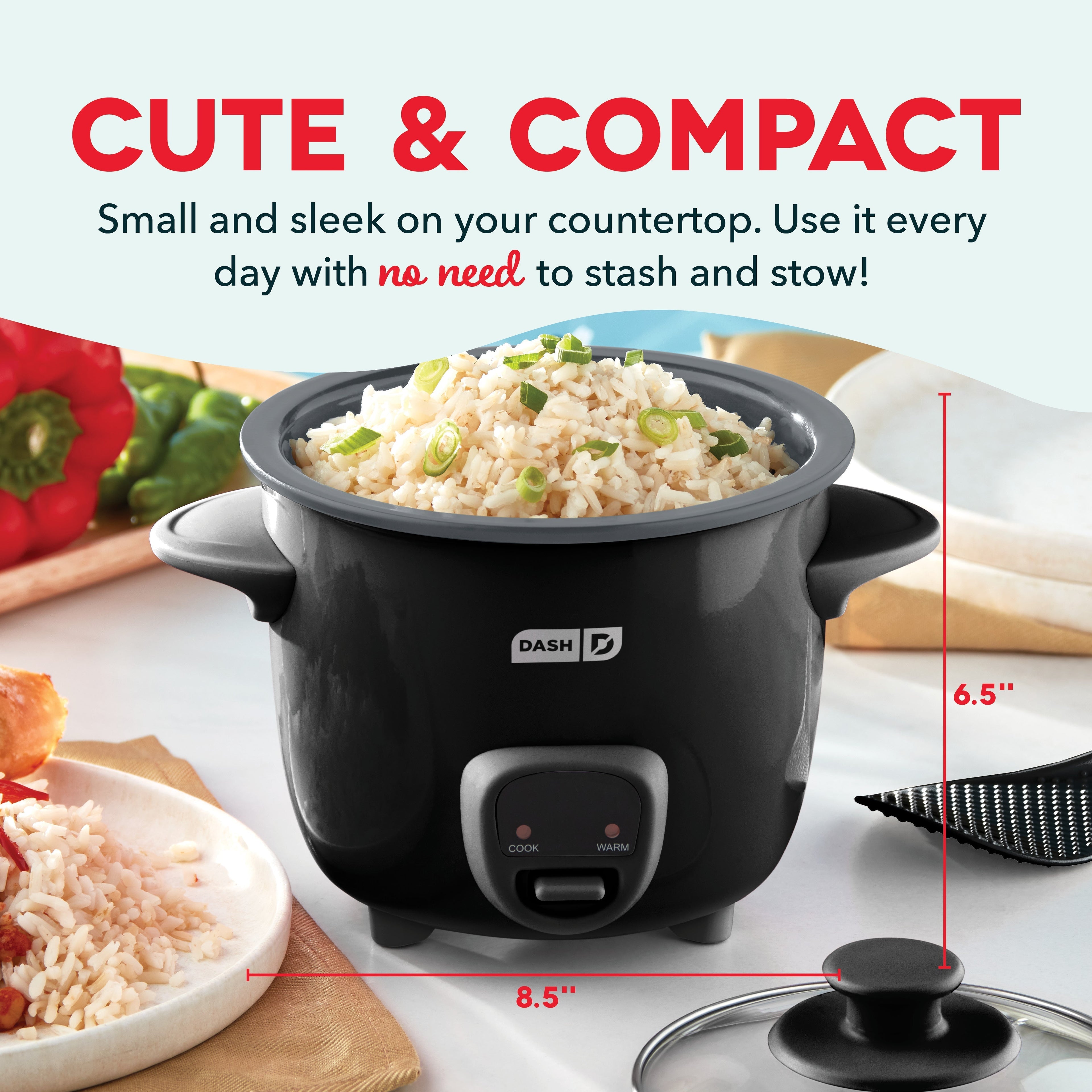 Mini Rice Cooker with Keep Warm W2