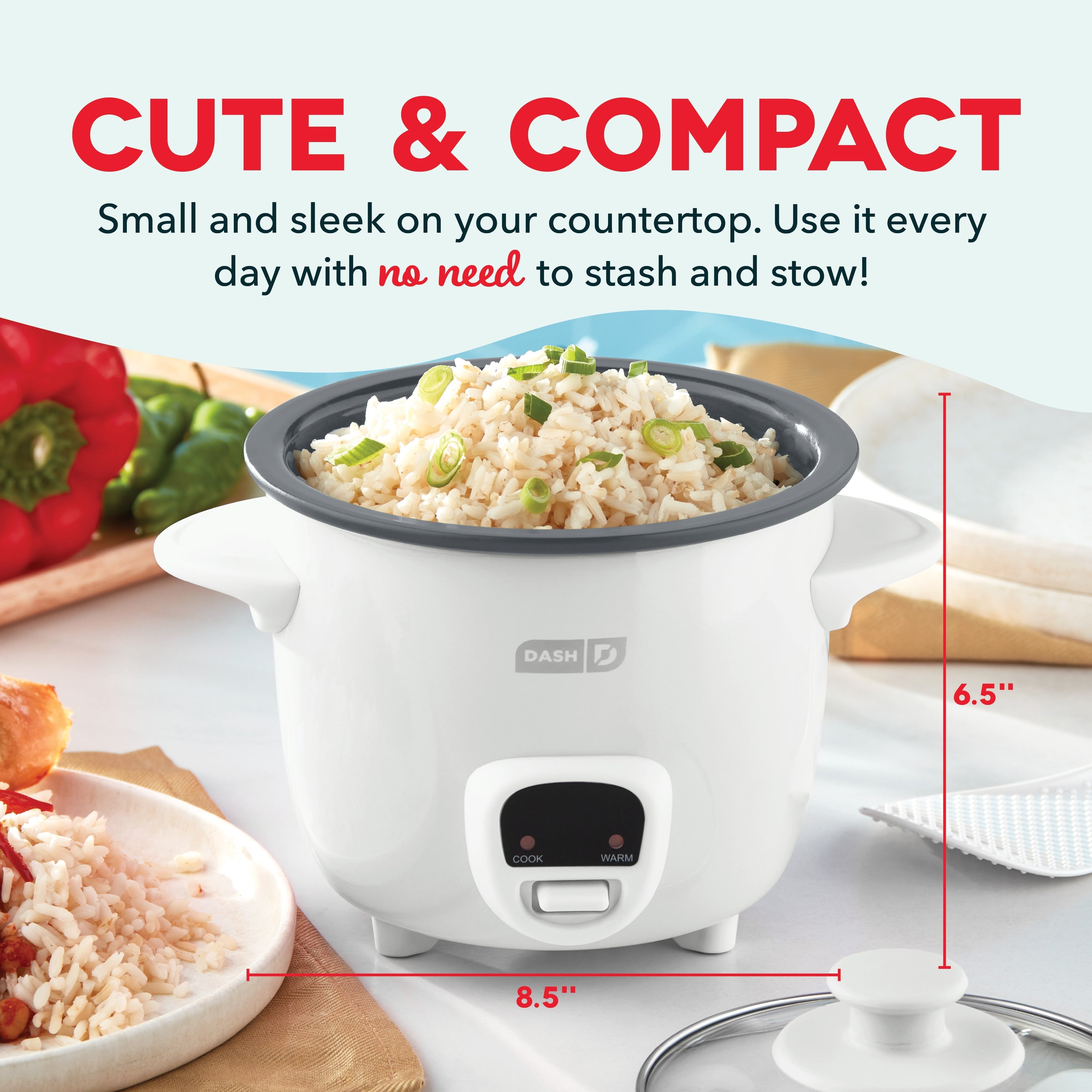 Mini Rice Cooker with Keep Warm W2
