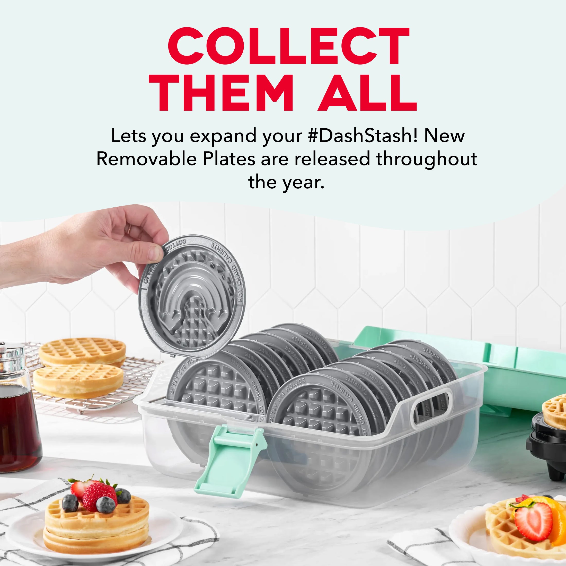 MultiMaker Mini System: Removable Plate Storage Case J6